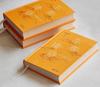 It's Better to Read Poetry: Classical Essays by Zhang Zhihao
