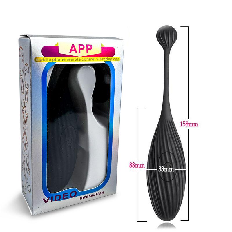 App Internet Control Vibrator Vaginal Ball 9 Speeds G Spot Massage Clitoris Stimulation Adult Sex Toys for Women Vibrating Egg 18+