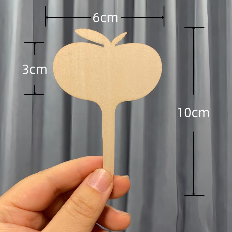 Bamboo Gardening Plant Labels & Succulent Flower Stakes