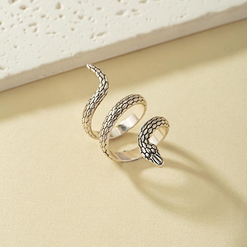 Exaggerated Retro Zodiac Snake Ring: Unisex Hip-Hop Street Style
