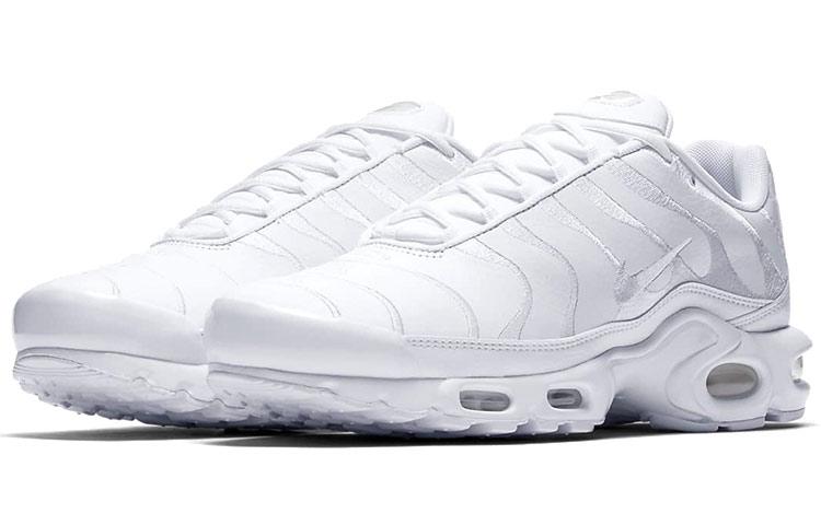 Nike Air Max Plus Triple White AJ2029-100