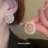 Серьги-гвоздики с искусственными кристаллами «Цветок Серебряной Иглы» Алмазные Персонализированный Преувеличенный Дизайн Новая Мода Легкая Роскошь