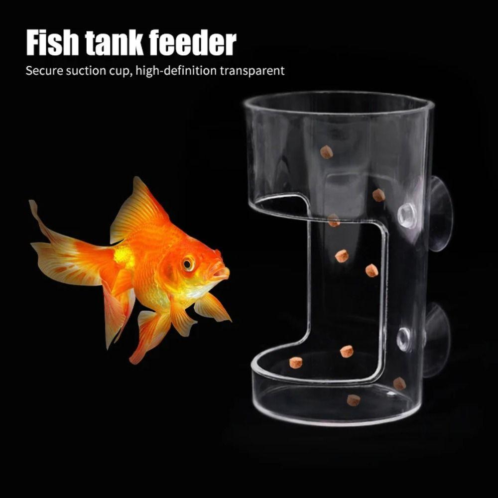 Suction Cup Aquarium Feeders Ring Acrylic Fish Tank Food Dispenser for Baby Fish Shrimp