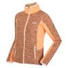 Regatta Womens/Ladies Lindalla III Fleece