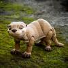 Cute 3D Printed Otter 3D Animals Statue Toy Articulated Flexible Executive Desk Fidget Toys for Autism ADHD Home Office Decor