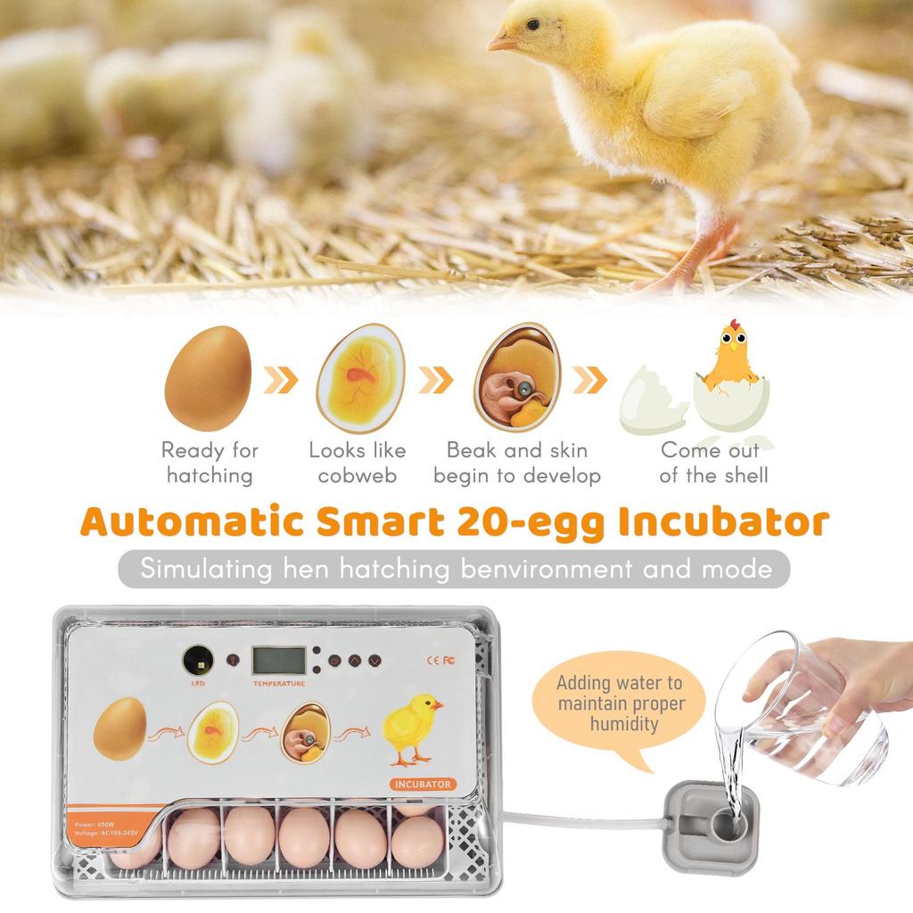 Digital Egg Incubator 20 Eggs Poultry Hatcher with Auto Egg Turning Temperature Control LED Light