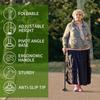 TrustyCane: Light-Up Walking Stick with Voice Broadcast for Seniors, Five-Section Adjustable Design