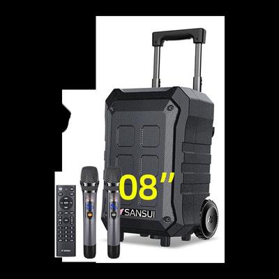 SANSUI A12 12-дюймовая портативная Bluetooth-колонка для караоке, штекер CN (адаптер в комплекте)