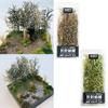Scenery Scene Model Micro Landscape Sand Table Vegetation Miniature Reed Long Leaf Grass Cluster