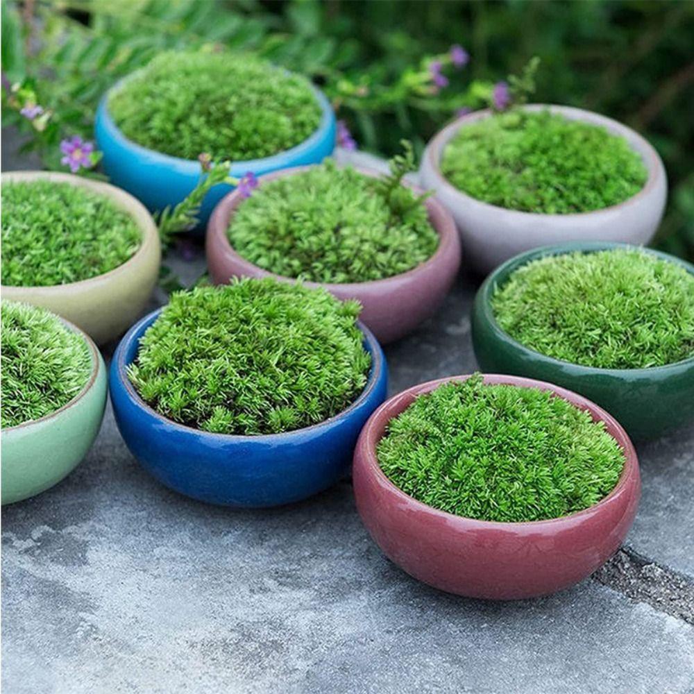Thickened Succulent Flowerpot Breathable Plants Planter Home Decoration