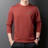 Long Sleeve T-shirt Men's Spring and Autumn New Casual Round Neck Undershirt Sweater Men