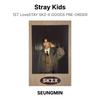 Stray Kids 1-й LoveSTAY SKZ-X ТОВАРЫ ПРЕДЗАКАЗ Официальная фотокарточка