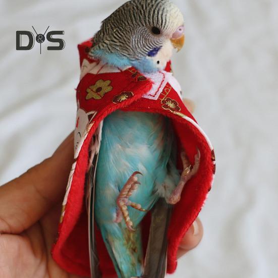 Одежда для попугаев с застежкой-липучкой Зимние шали для птиц Согреют вашего питомца Мультяшный принт Защита для домашних животных на открытом воздухе Пончо для прогулок