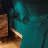 Drap plat - Emotion - 180 x 290 cm - 100% coton - OEKO-TEX® - Vert émeraude