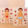 Multi-Layer Body Structure Puzzle Boys Girls Educational Anatomy Jigsaw Preschool Game