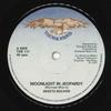7inch Record SKEETS BOLIVER - Moonlight In Jeopardy THE117 Thunderbird 1977 UK Soul/Funk Used