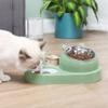 Миска для кошек Slow Food Anti-Chock Автоматическое питье Anti-Pushset Pet Double Bowl Home Multifunction Кормушки для собак из нержавеющей стали Новые