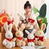Red Festive Sweater Rabbit Doll Plush Toy Bunny Doll Year of the Rabbit Mascot Rag Doll Grab Machine Gift