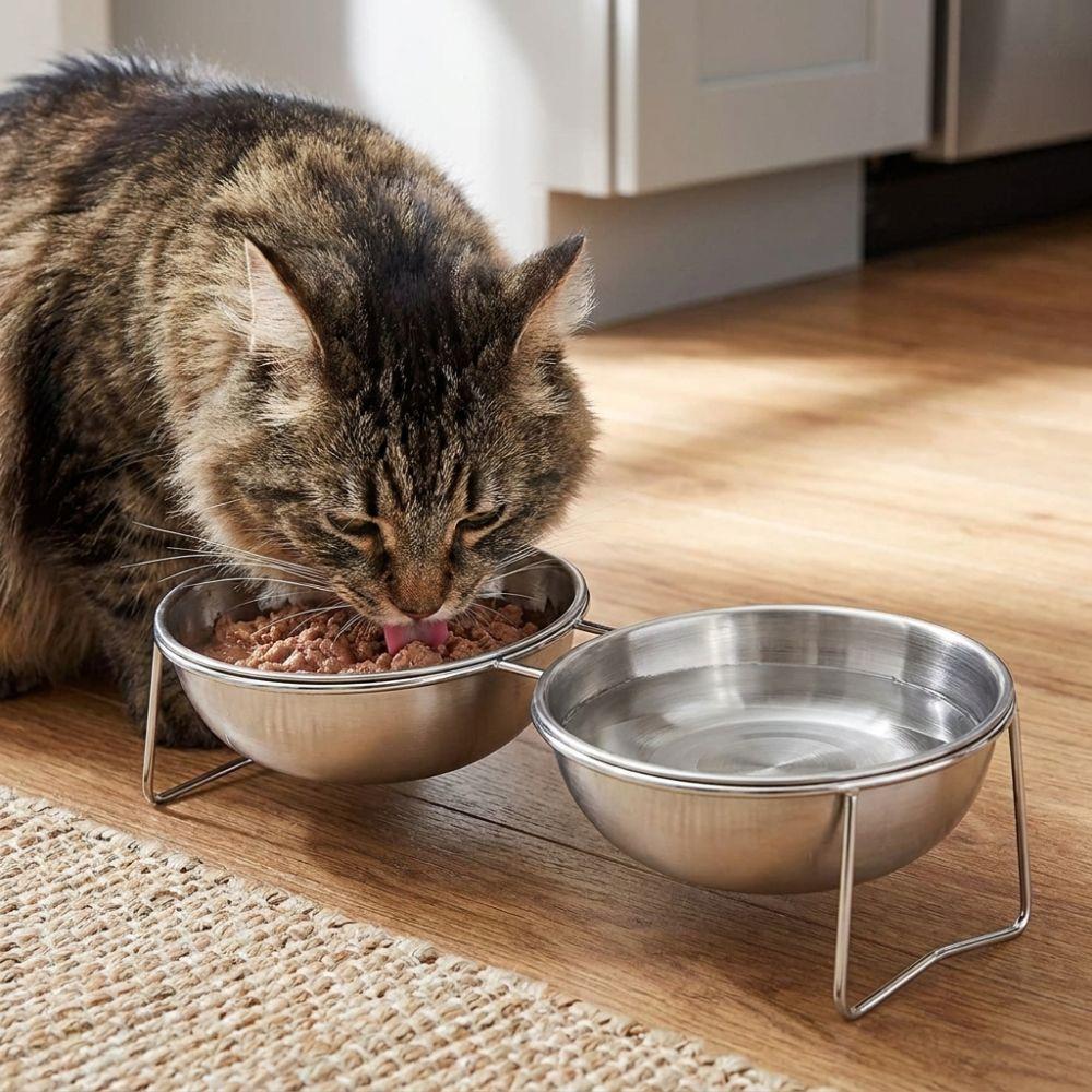 Large Capacity Stainless Steel Cat Bowl Anti-Tipping Double Water Bowls for Kitten