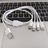4 In 1 USB C Long Charger Cable Charging Cord Multiple Ports Charging Cable Type C Connector for Cellphones