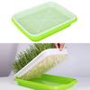 Germination Tray Seed Germination Tray Seedling Tray Wheatgrass Seed Planting Soilless Cultivation Planting Pot