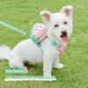 Cute Fruit Backpack Pet Chest Strap Set,anti Slip Soft Breathable Pet Chest Strap Traction Rope,dog Cat Pet Backpack Chest Strap