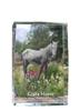 Giara Horse – Crystal with a Picture of a Horse, Photo In Glass |