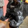 Yousheng 2 шт. Костюм Мускулистая Лапа Кошки Кошачья Шея Лапа с Мышцами 3D Печатный Супергерой Косплей Питомец Разыгрывающий Игрушка Смешной Аксессуар для Фото Кошки