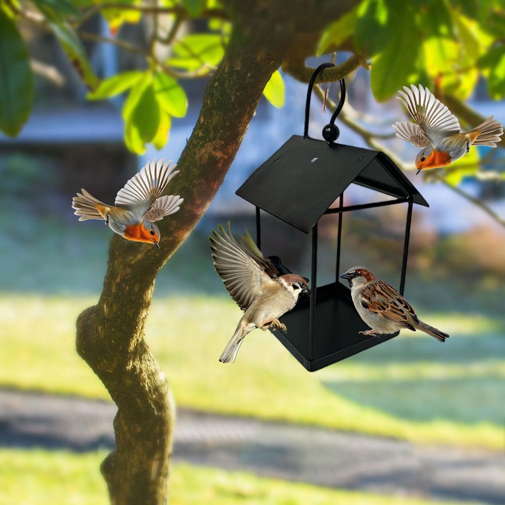Wrought Iron Bird Feeder, Bird,proof Feeding Hanging Outdoor Decoration For Gardens