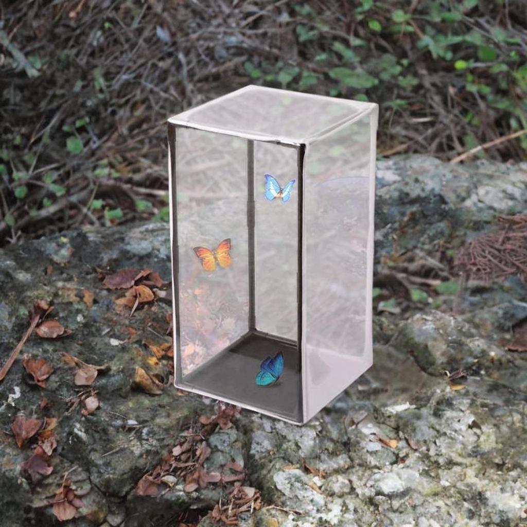 Butterfly Habitat Cage Breeding Lightweight with PVC Frame Folding Mesh Case for Garden