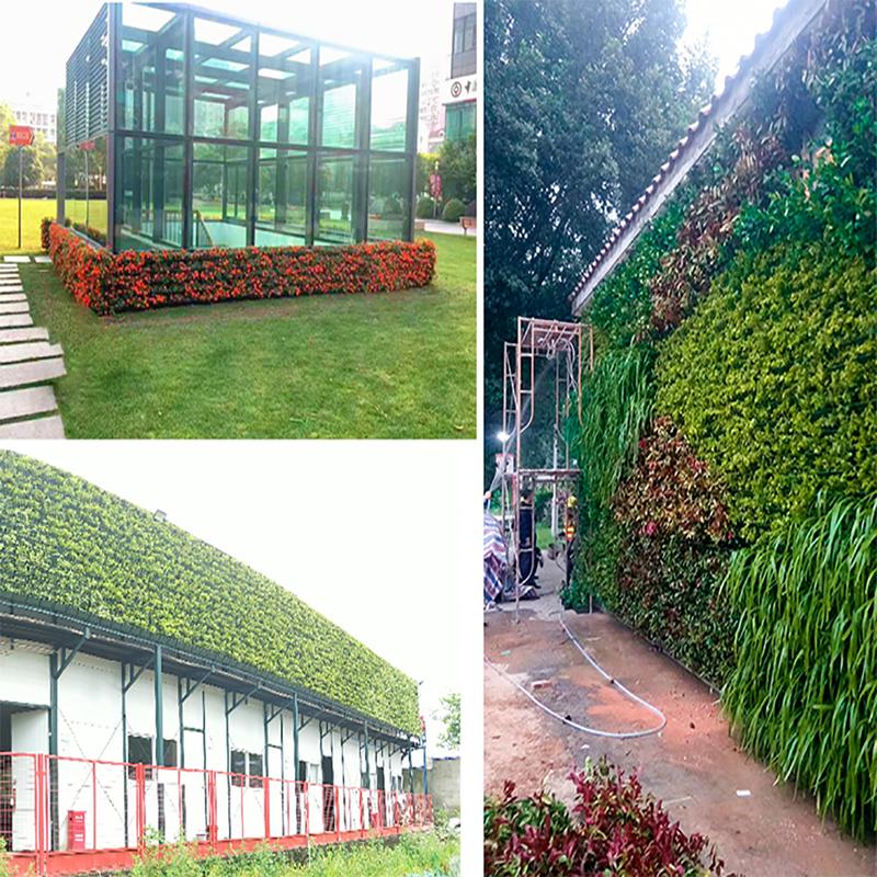 Сад Открытый Стена Растения Цветочный Горшок Контейнер Настенный Висит Вертикальный Зеленый