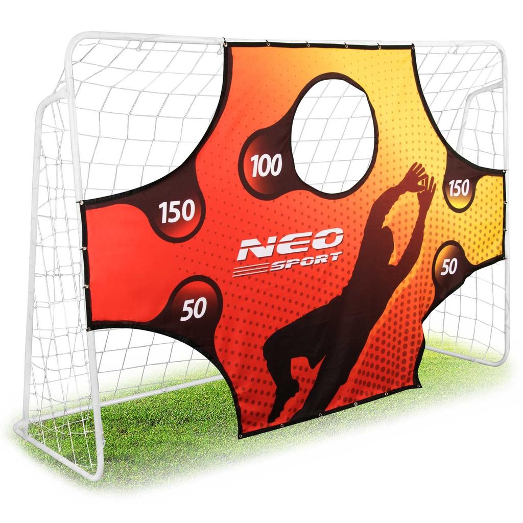 Football Goal 245 X 155 X 80 Cm + Target Mat