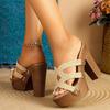 Fashion Platform Open Toe Women Slippers Chunky High Heels Summer Shoes Sexy Nightclub Banquet Zapatos De Mujer