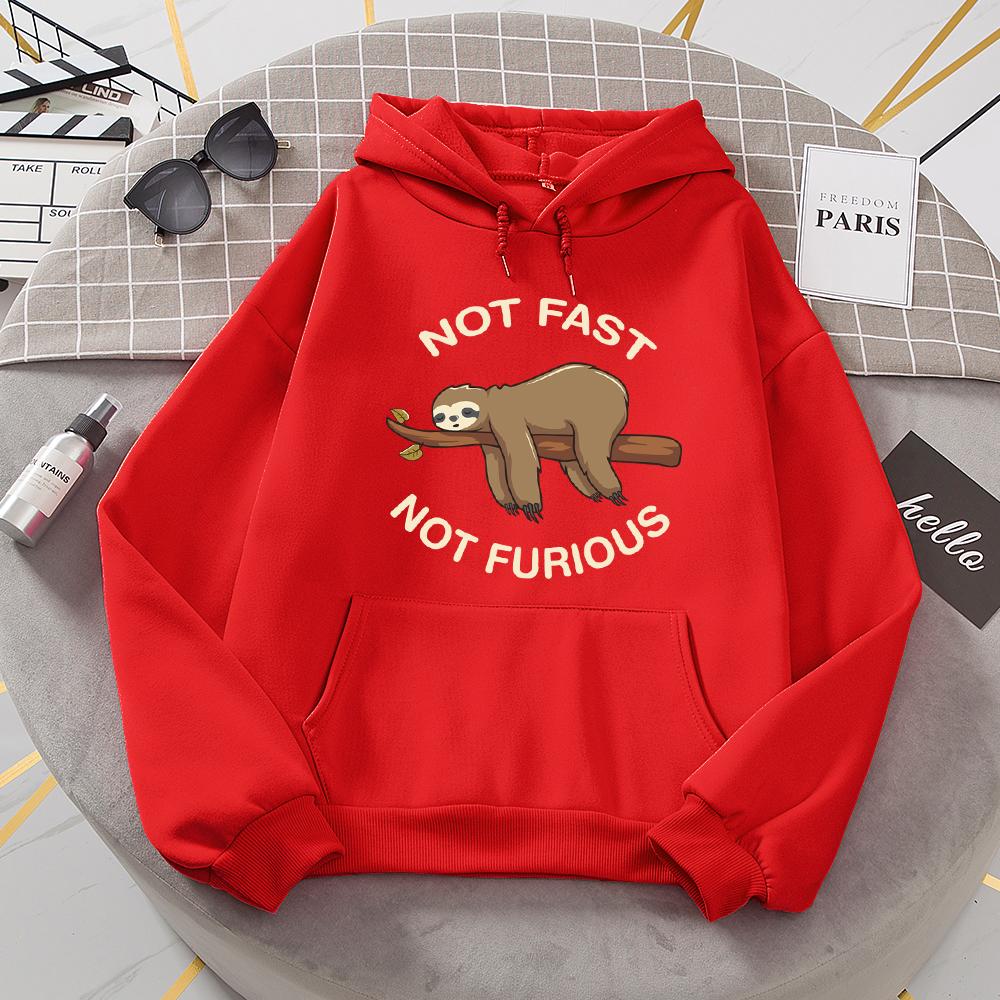 Not Fast Not Furious Sloth Sleeps Hanging From Branches Hoodies Women Novelty Fashion Hoody Loose Basic Hoodie Casual Warm Tops
