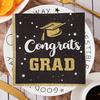 20 листов/набор 2025 Поздравляем Выпускной Салфетка Толстая Квадратная Одноразовая Колледж Выпускной Вечеринка Украшения Бакалавр Шляпа Обеденная Бумажная Салфетка