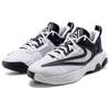 Nike Кроссовки Giannis Immortality 3 Ep 'White Black' DZ7534-100