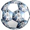 Футбольный мяч Cristiano Ronaldo, размер 5, разноцветный, подходит для всех возрастов, сшит машинным швом, материал ПВХ, соревновательного качества, прочный и с высоким отскоком