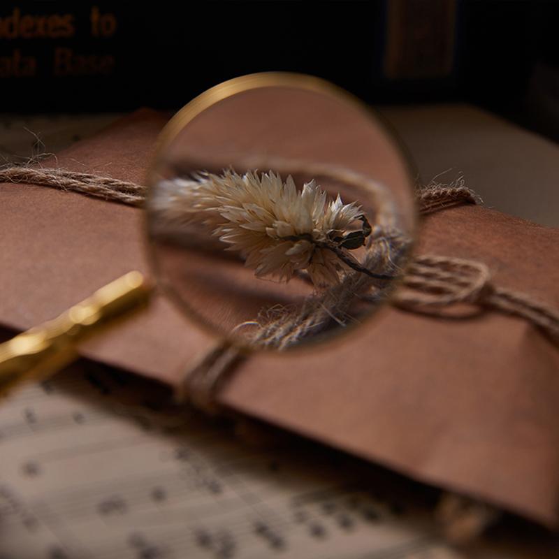 Retro 5X Magnifying Glass Handheld Magnifier Wooden Handle Optical Eye Loupe