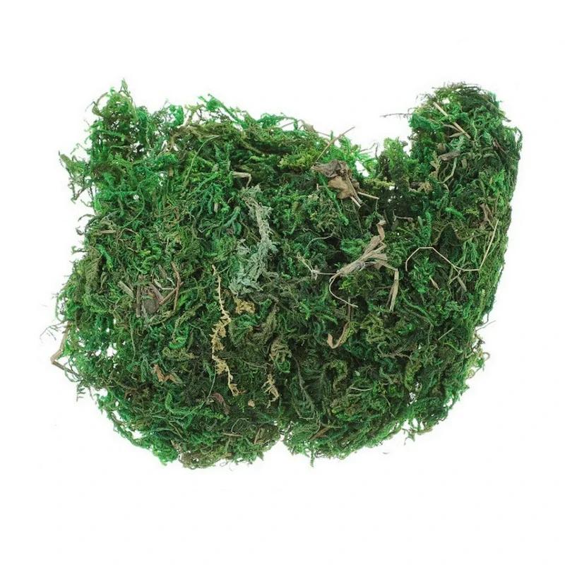 800G Dry Real Green Moss Decorative Plants Vase Artificial Turf Silk Flower Accessories For Flowerpot Decoration