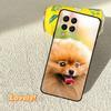 Pomeranian Dogs Dog Colorful Case For Samsung Galaxy M52 M36 M06 M16 M56 M33 M15 M55 M31 M13 M12 M14 M53 M32 M35 M34 M54