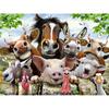 Diamond Painting Diamond Embroidery Animals Family Diamond Mosaic Animals Cross Stitch Needlework Rhinestones Pictures