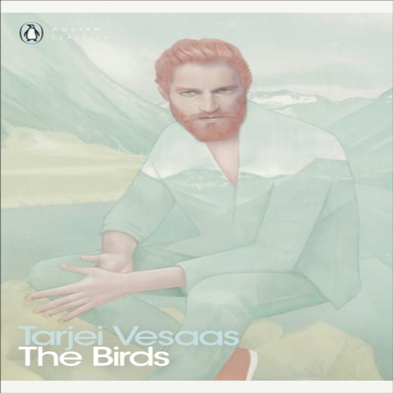The Birds by Tarjei Vesaas Paperback Book 9780241384879
