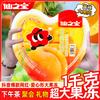 Фруктово-чайные желе XianZhiBao