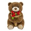 Rose Bear Teddy Bear with Hat, Flower Holding Plush Toy, Valentine's Day Birthday Gift for Girlfriend Women