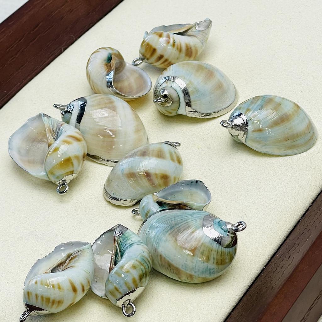10 шт., Натуральные раковины улиток, подвески-шармы с серебристым краем из цинкового сплава для DIY аксессуаров для ожерелий, креативное изготовление ювелирных изделий, женские мужские подарочные поделки оптом