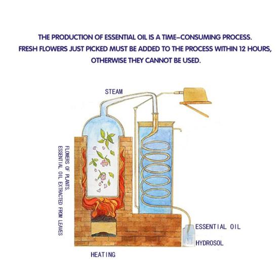 10 мл эфирное масло, увлажняющий уход за телом, успокаивающее кожу, эфирное масло бергамота для йоги
