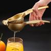 Premium Quality Stainless Steel Manual Juicer, Perfect for Making Fruit and Lemon Juice