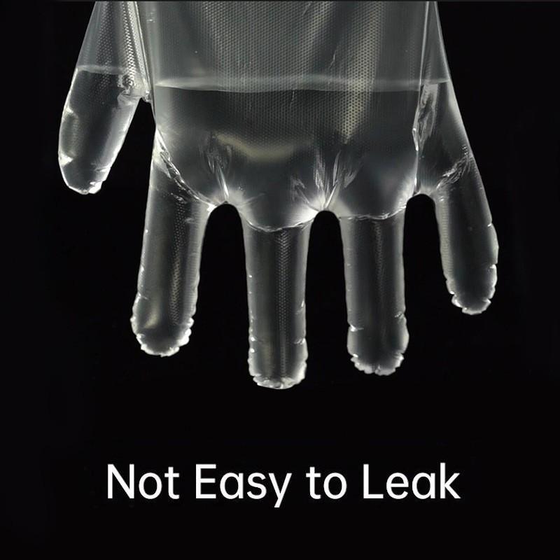 100pcs Disposable Gloves Food Gloves Household Catering Gloves