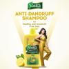 Dabur Vatika Лимонный шампунь против перхоти 1 л | Уменьшает перхоть, питает кожу головы и волосы | Мягкое очищение с лимоном, пажитником и натуральными маслами