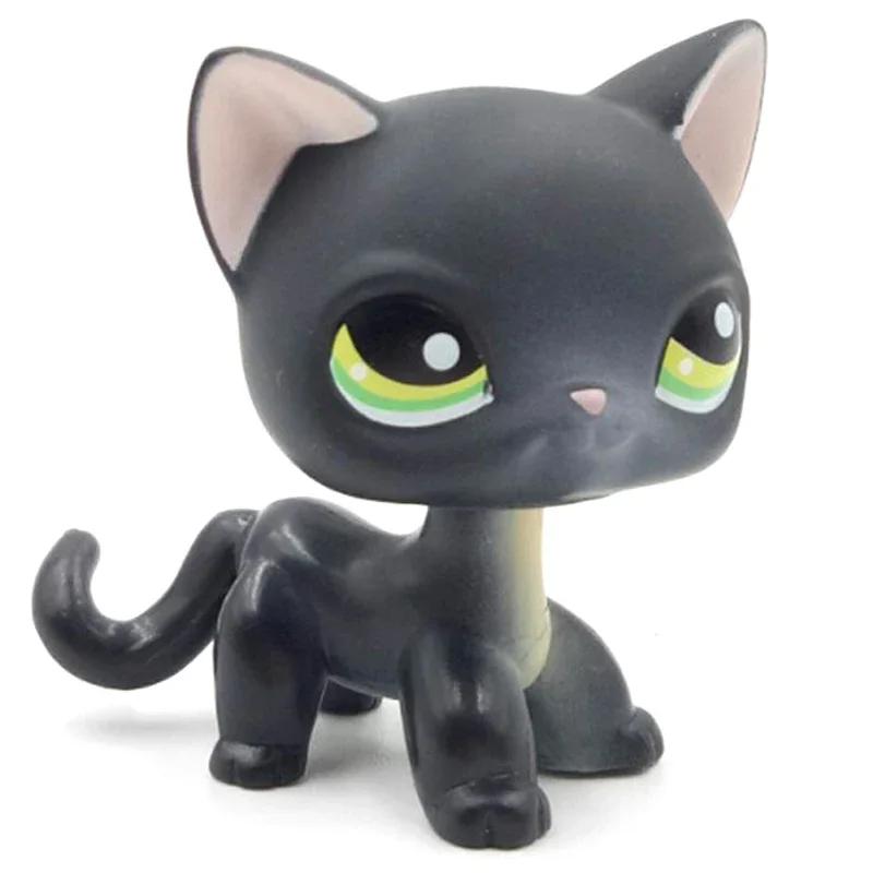 Редкая игрушка Littlest Pet Shop Lps Мини-подставки Котенок с короткой шерстью Старые фигурки Коллекция Al Игрушка на пружинке